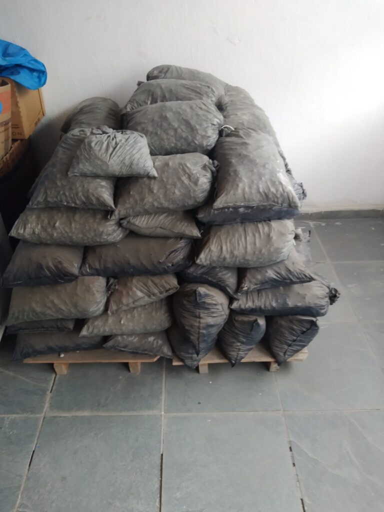 20230518_093359-scaled