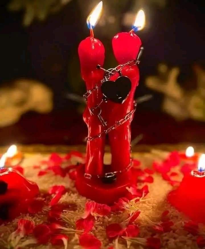 371f2113-e644-4620-a281-203653c04d4d