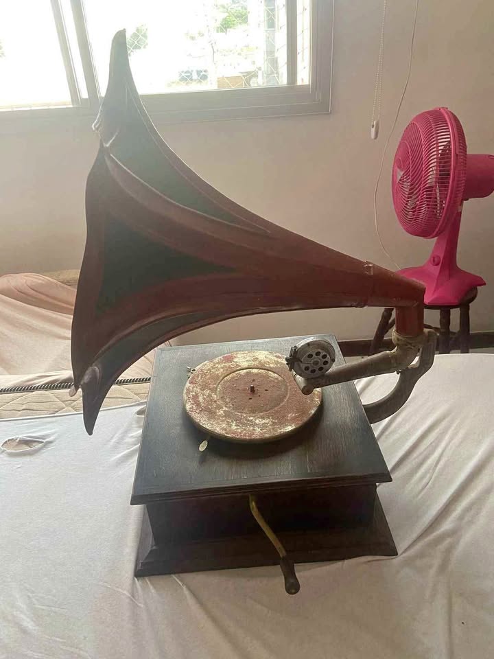 485309927_1162620201677996_767526409251848827_n