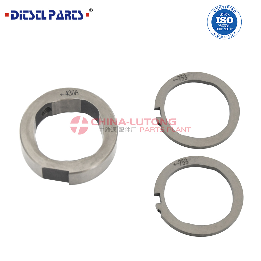 DELPHI-CAM-RING-AND-SCROLL-PLATE-KIT-7189-100AZ-4
