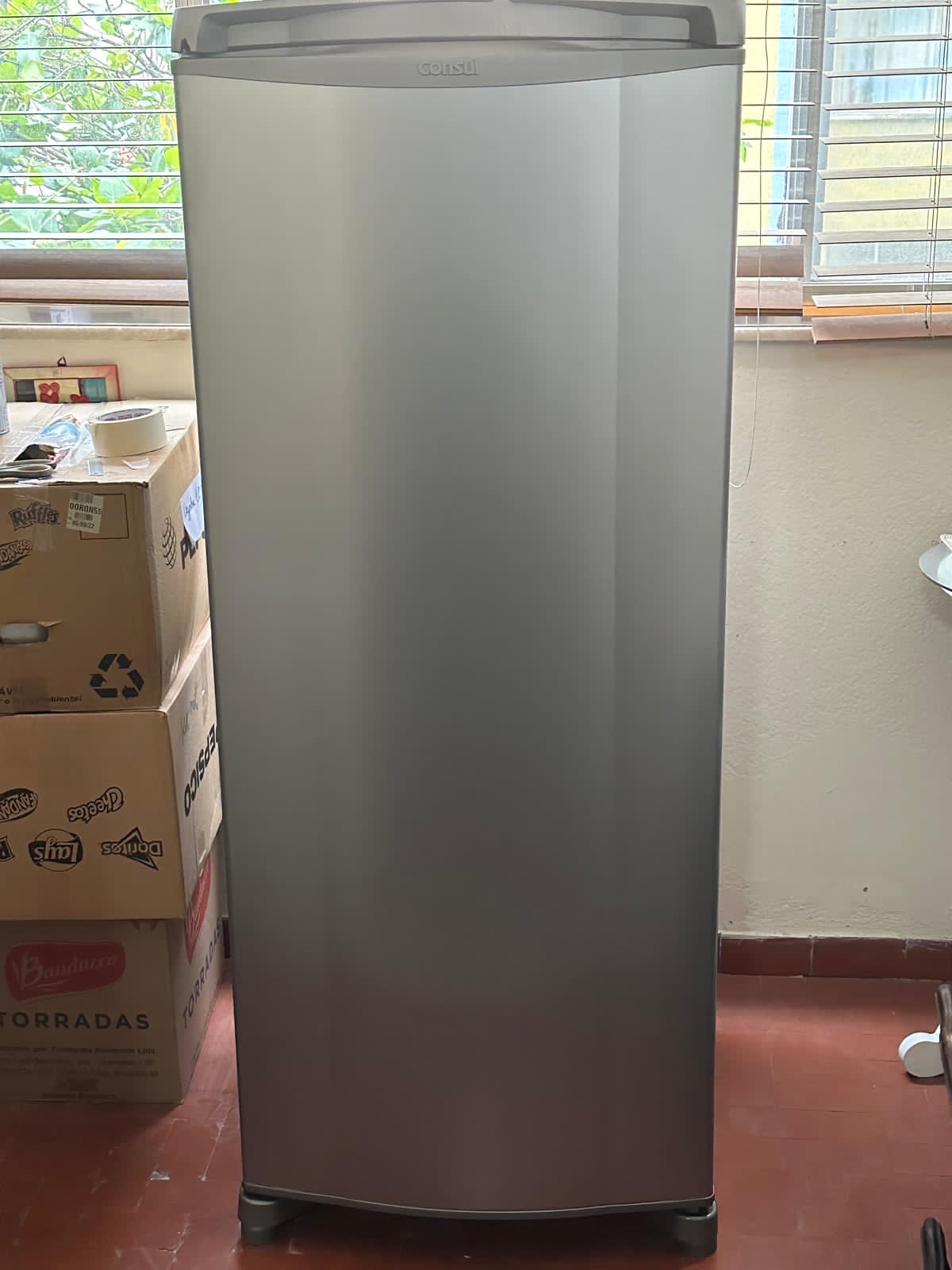 Geladeira-frente-principal