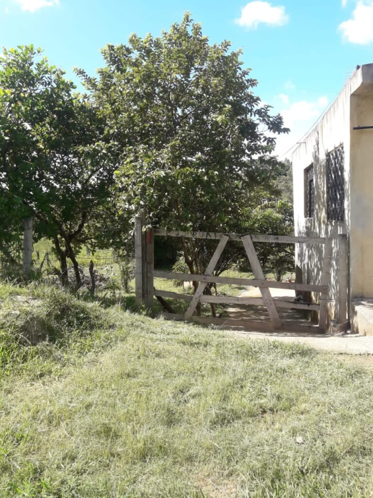 WhatsApp-Image-2025-01-25-at-13.28.21-1