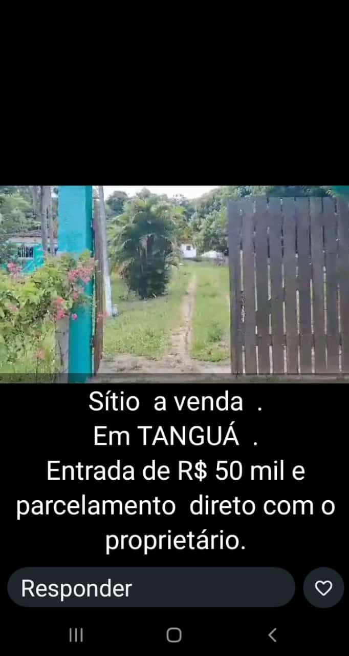 WhatsApp-Image-2025-02-07-at-14.22.26