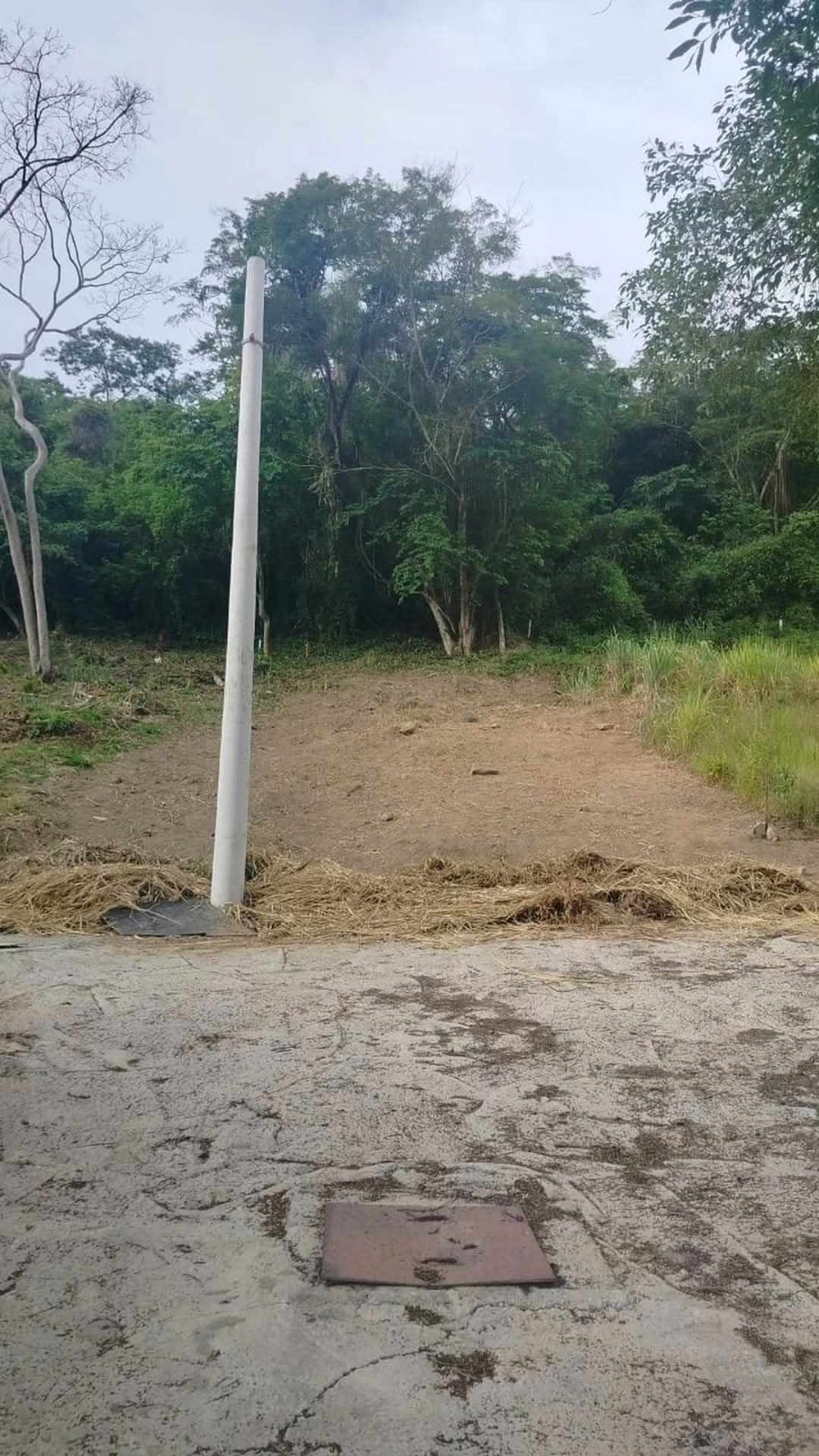 WhatsApp-Image-2025-03-22-at-20.33.38