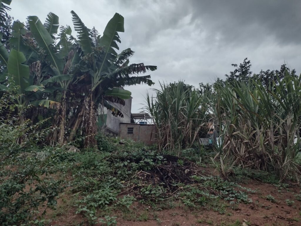 WhatsApp-Image-2025-05-13-at-13.23.49-4