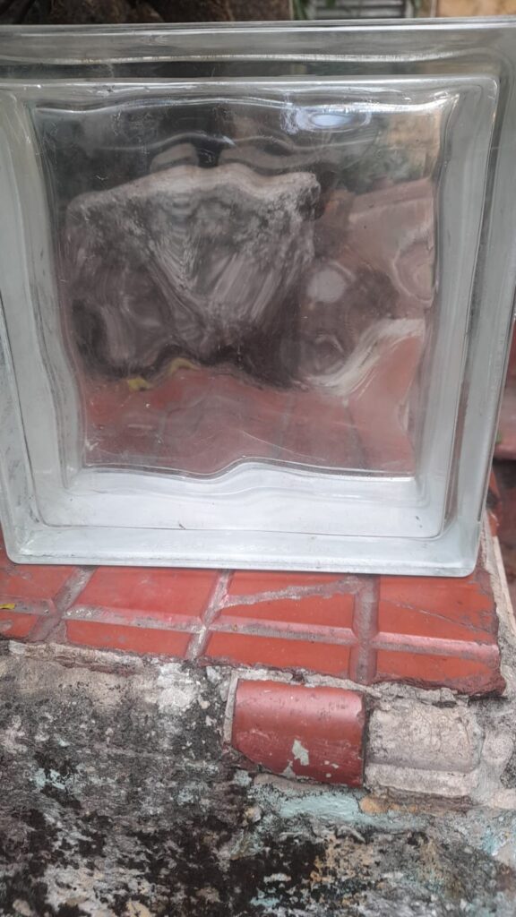 WhatsApp-Image-2025-08-05-at-14.18.46-4