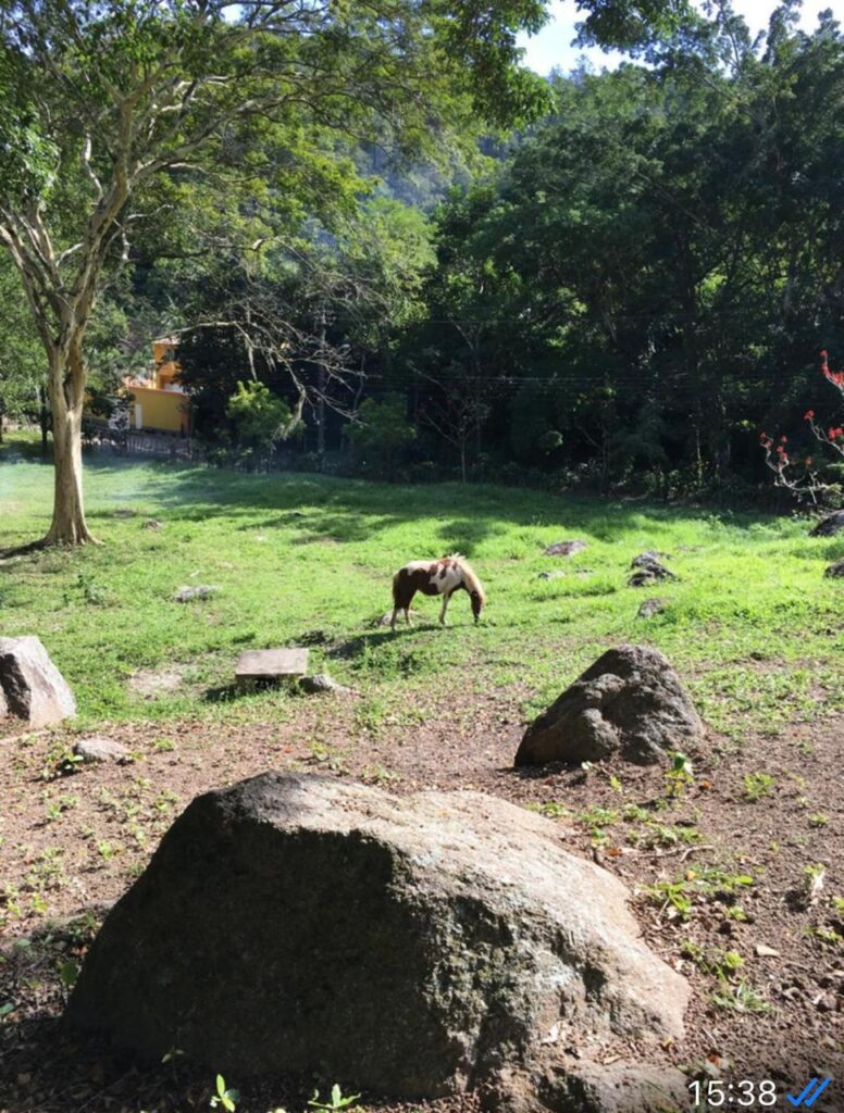 WhatsApp-Image-2025-09-01-at-23.05.13