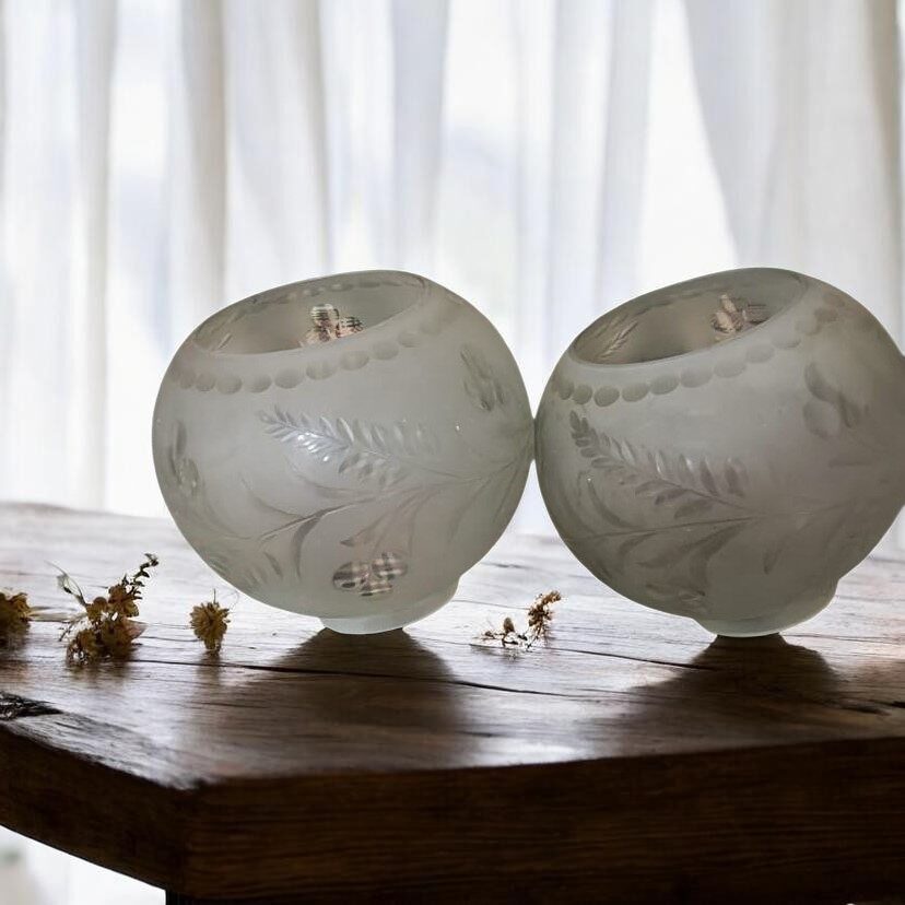 IMG-20241007-WA0006-1