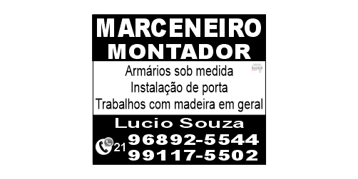 LUCIO MARCENEIRO E MONTADOR
