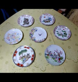 Prato de porcelana (7 variedades)