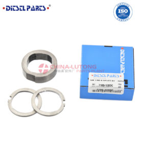 DELPHI-CAM-RING-AND-SCROLL-PLATE-KIT-7189-100DC-3