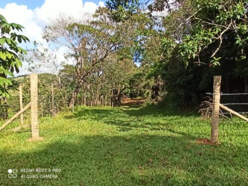 VENDO SITIO COM NASCENTE NO CAPIVARI