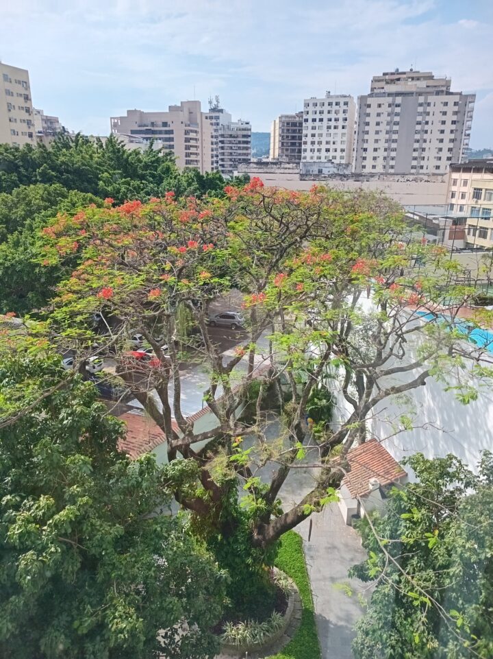 ALUGO ÓTIMO APTO 3 QUARTOS NA TIJUCA, RJ