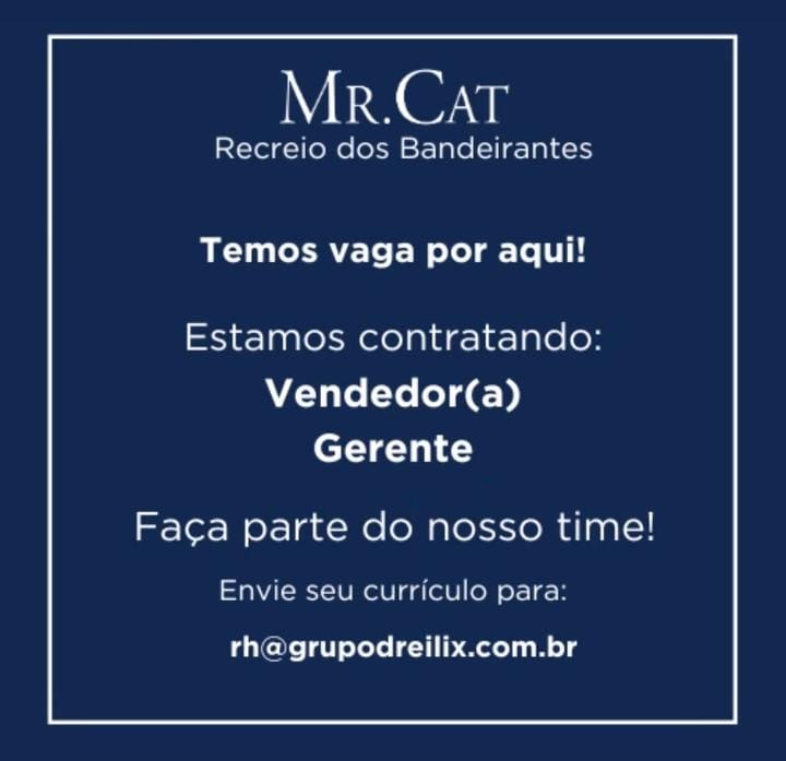 Loja Mr. Cat admite Vendedor(a) e Gerente