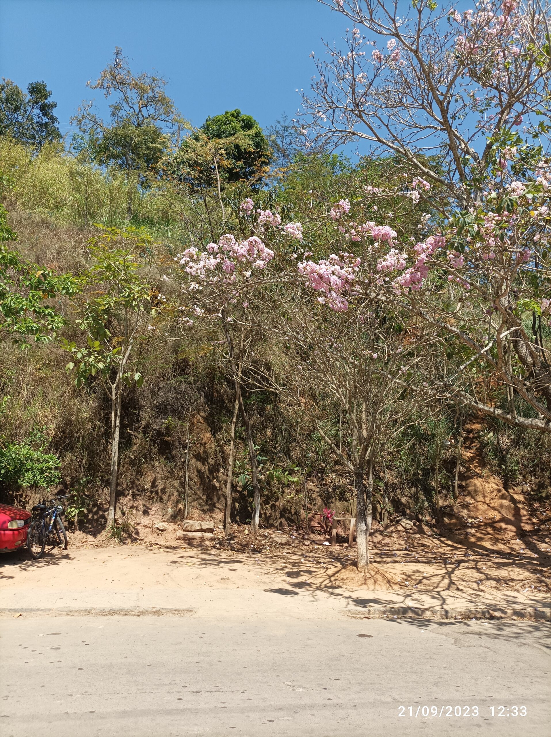 Vista-do-Terreno-da-Rua-Antonio-Moreira